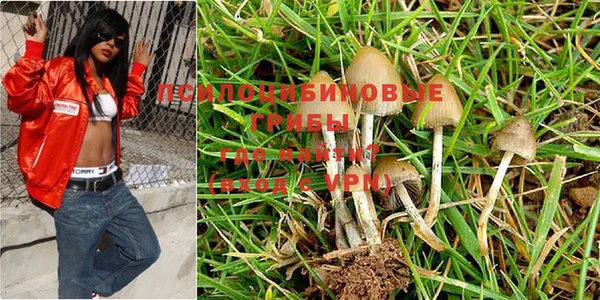 spice Алексин