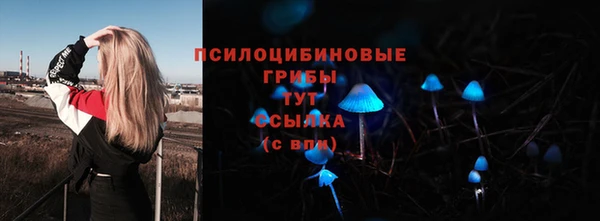spice Алексин