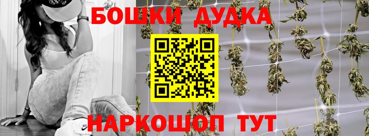 Бошки марихуана план  МАРИХУАНА THC 21%  Махачкала  Вход с VPN 